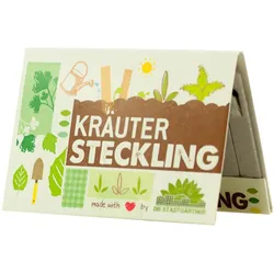 Kräuter Saatgut Stifte Karte - 10 Pappstifte zum Einpflanzen - Basilikum Bohnenkraut Dill Pimpinelle Majoran - Einfach Anzucht Geschenke – 136 Zeichen