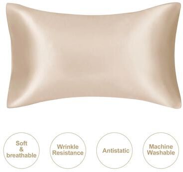 Inspired Finds JuwenSilk Mulberry Silk Pillowcase Standard & Queen Natural Silky Satin Pillow Cover champagne king 19.69x36.22in