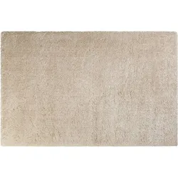 WECONhome Teppich Toubkal WH-5968-070 beige 80x150