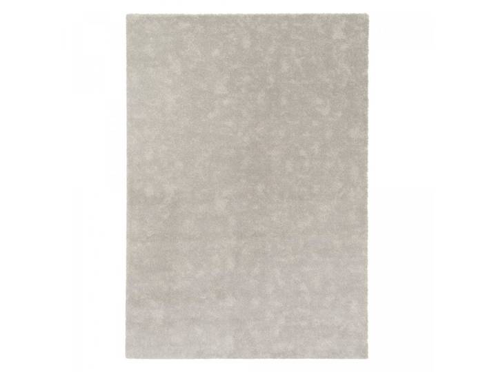 Tapis grand salon 200x290 gris