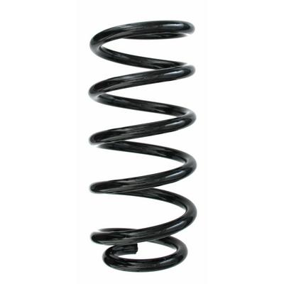 SPIDAN Fahrwerksfeder 87216 Hinterachse für BMW