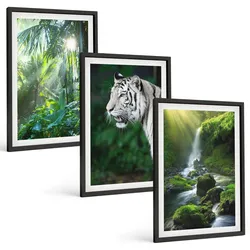 BILDER SET 3er Set - 40x60 cm Schwarzer Rahmen - Dschungeltigerwasserfall