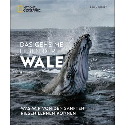 Das geheime Leben der Wale, Gebundene Ausgabe von Brian Skerry, National Geographic Deutschland, 978-3-86690-762-1