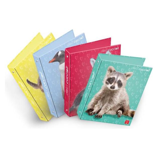 Pigna Packung mit 5 A4 Ringbüchern (A4, 5 Stk.) (023302630)