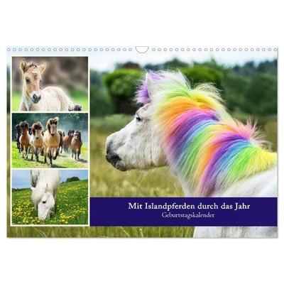 Mit Islandpferden durch das Jahr Geburtstagskalender (Wandkalender 2027 DIN A3 quer), CALVENDO Monatskalender