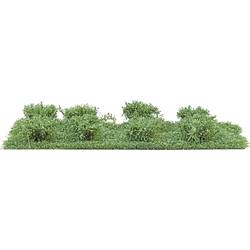 Busch 3602 Strauch Sommer 20 mm
