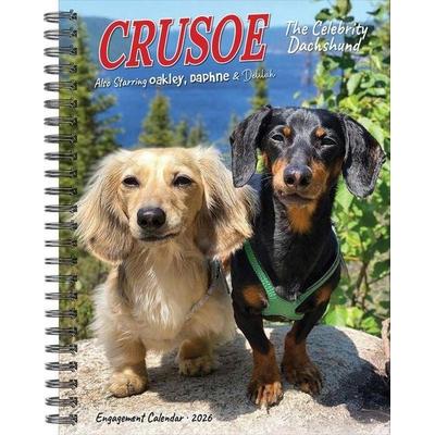 Crusoe the Celebrity Dachshund 2026 Engagement Calendar