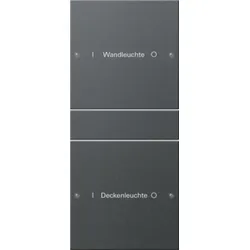 Gira Wippenset 2-fach beschriftbar Sys 55 Anthr 220228