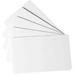 Durable, Karteikarten, Plastikkarten (100x)