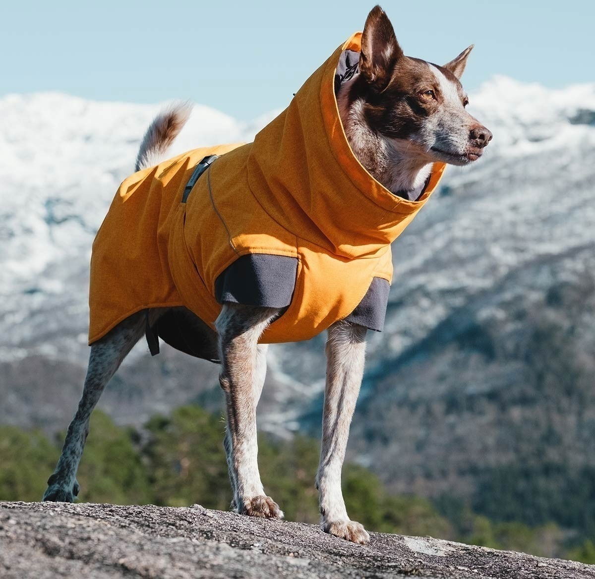 Hurtta Expedition Parka Vintertäcke Orange 25 cm