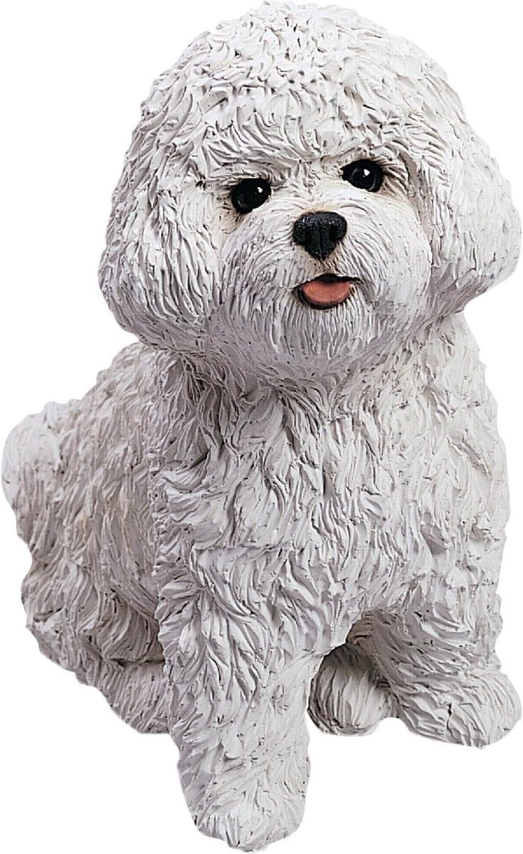 Bichon Frise sculptuur - Handgeschilderd hondenbeeldje voor decoratie - Wit - H 203 x B 127 cm