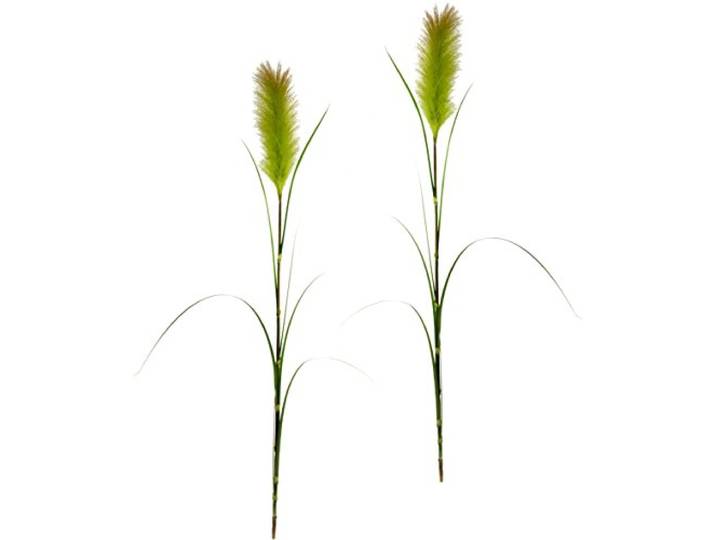Pampasgras Zweige, Feder-Gras, Ufergras, Uferschilf, Seidenblumen, Grasbusch, Dekogras, Gras, Kunstpflanzen, Kunstgras, künstliche Pflanzen, Solitärgras, Ziergras, 2er Set, 125 cm