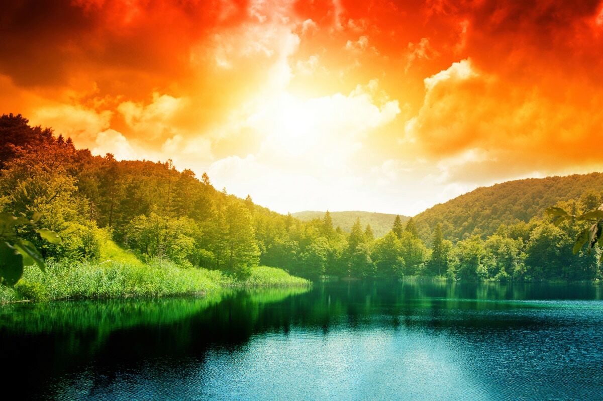 Fototapete PAPERMOON "Waldsee", bunt, B:2,5m L:1,86m, Vlies, Tapeten, Fototapete bunt B/L: 2,5m x 1,86m, Bahnen: 5 Stk.