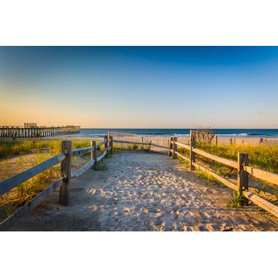 Fototapete PAPERMOON "Dunes Atlantic Ocean", bunt, B:3,5m L:2,6m, Vlies, Tapeten