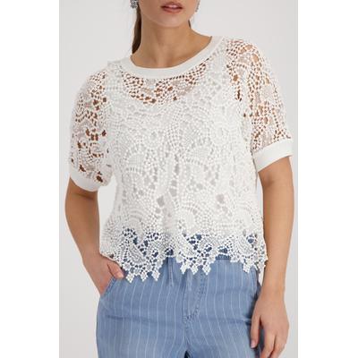 Ajourpullover MONARI "Pullover Basic Spitze", Damen, Gr. 42, weiß (sanftes weiß), Strick, Obermaterial: 100% Baumwolle. Spitze: 92% Baumwolle, 6% Polyamid, 2% Elasthan, transparent, unifarben, regular fit normal, Rundhals, Pullover, aus Spitze