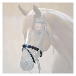 Kavalkade, Halfter