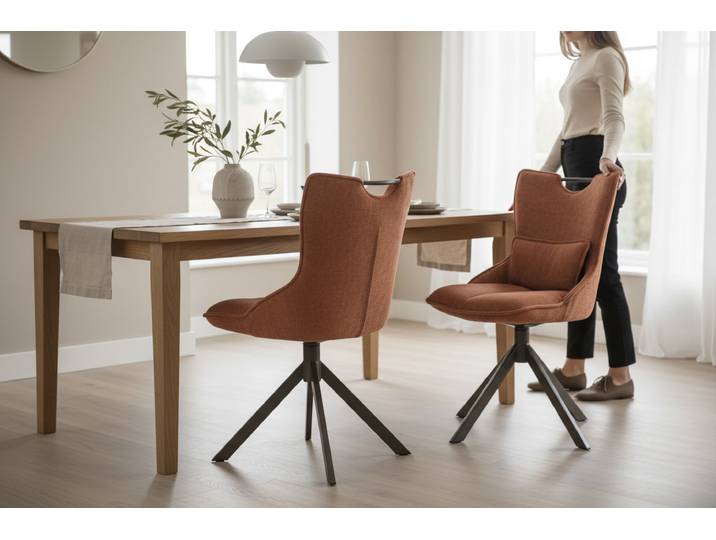 Paire de Chaise BIORG rouille