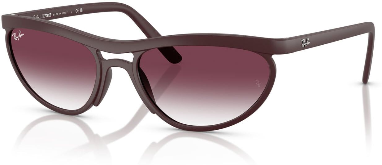 Ray-Ban 4453 (64458H)