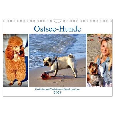 Ostsee-Hunde - Zweibeiner und Vierbeiner am Strand von Cranz (Wandkalender 2026 DIN A4 quer), CALVENDO Monatskalender