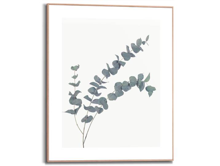 Bild mit Rahmen REINDERS Eucalyptus , grün (farbe bild(er): grün), B:40cm H:50cm T:1,6cm, MDF, Bilder, Bild mit Rahmen