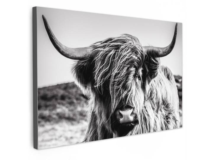 MuchoWow Leinwandbild - Kuh - Schottischer Hochländer - Schwarz - Weiß - Tier - Natur - Wildtiere - 90x60 - Deko Wohnzimmer, Textil, Kiefer, Abstrakt, Rechteckig, 90x60 cm, gerahmt, Bilder & Rahmen, Bilder, Wandbilder