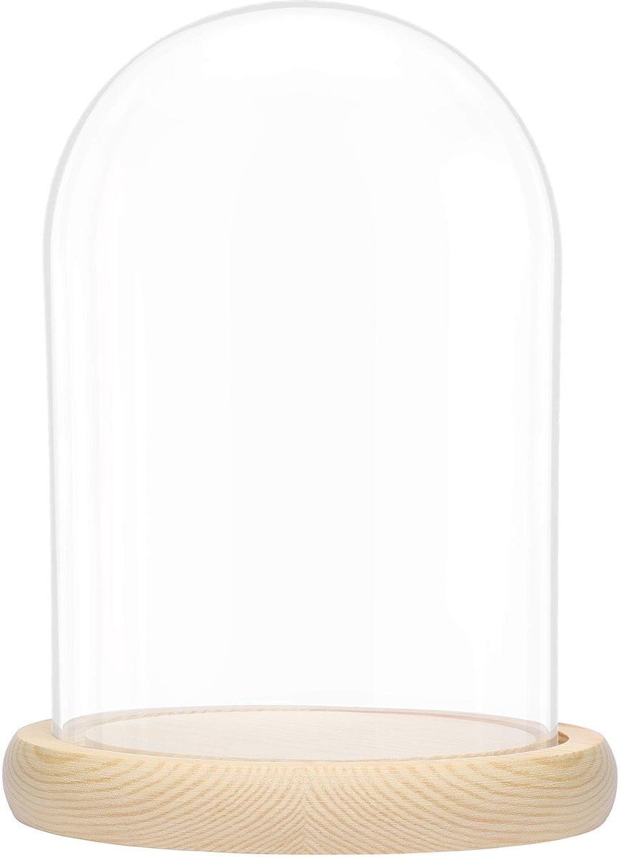 Allecto Glazen Stolp met Houten Basis - Heldere Decoratieve Display Case voor Verzamelstukken