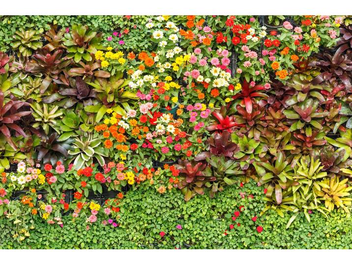 Papermoon BLUMEN-ABSTRAKT MUSTER GARTEN PFLANZEN DEKOR NATUR
