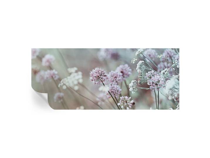 Wallfluent Fototapete 250x104 cm - Wildblumen, Weiß, 250x104 cm, Tapeten & Wandverkleidungen, Fototapeten