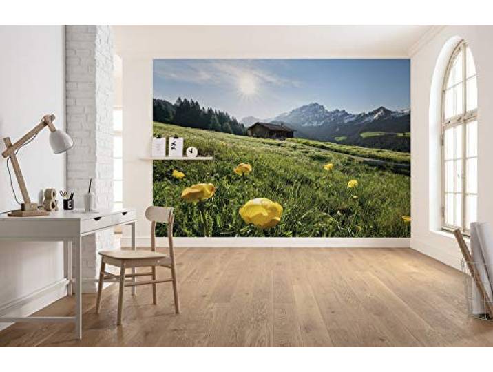 Komar Poster XXL Impression Numérique\, 400cm x 280cm\, Alpologne