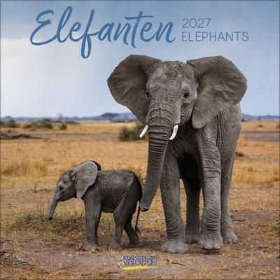 Elefanten 2027
