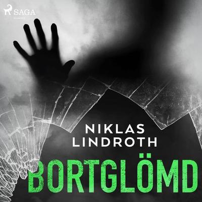 Bortglömd - Niklas Lindroth, Audio, 9788726388770
