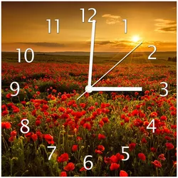Wallario Uhr 20 x 20 cm, weiße Zeiger Mohnblumenwiese bei Sonnenuntergang am Abend