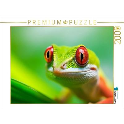 CALVENDO Puzzle Gecko Portrait | 2000 Teile Lege-Größe 90x67cm Foto-Puzzle für glückliche Stunden