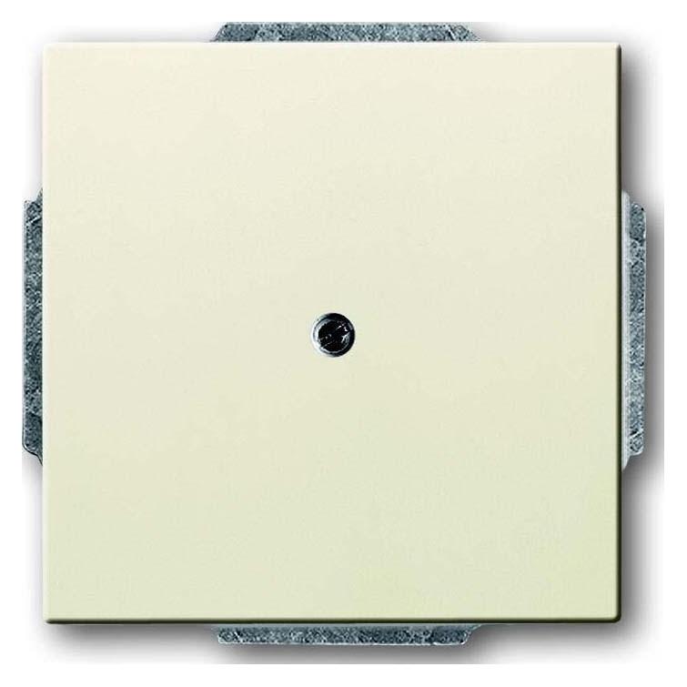 Busch-Jaeger Zentralscheibe (2CKA001710A3143)