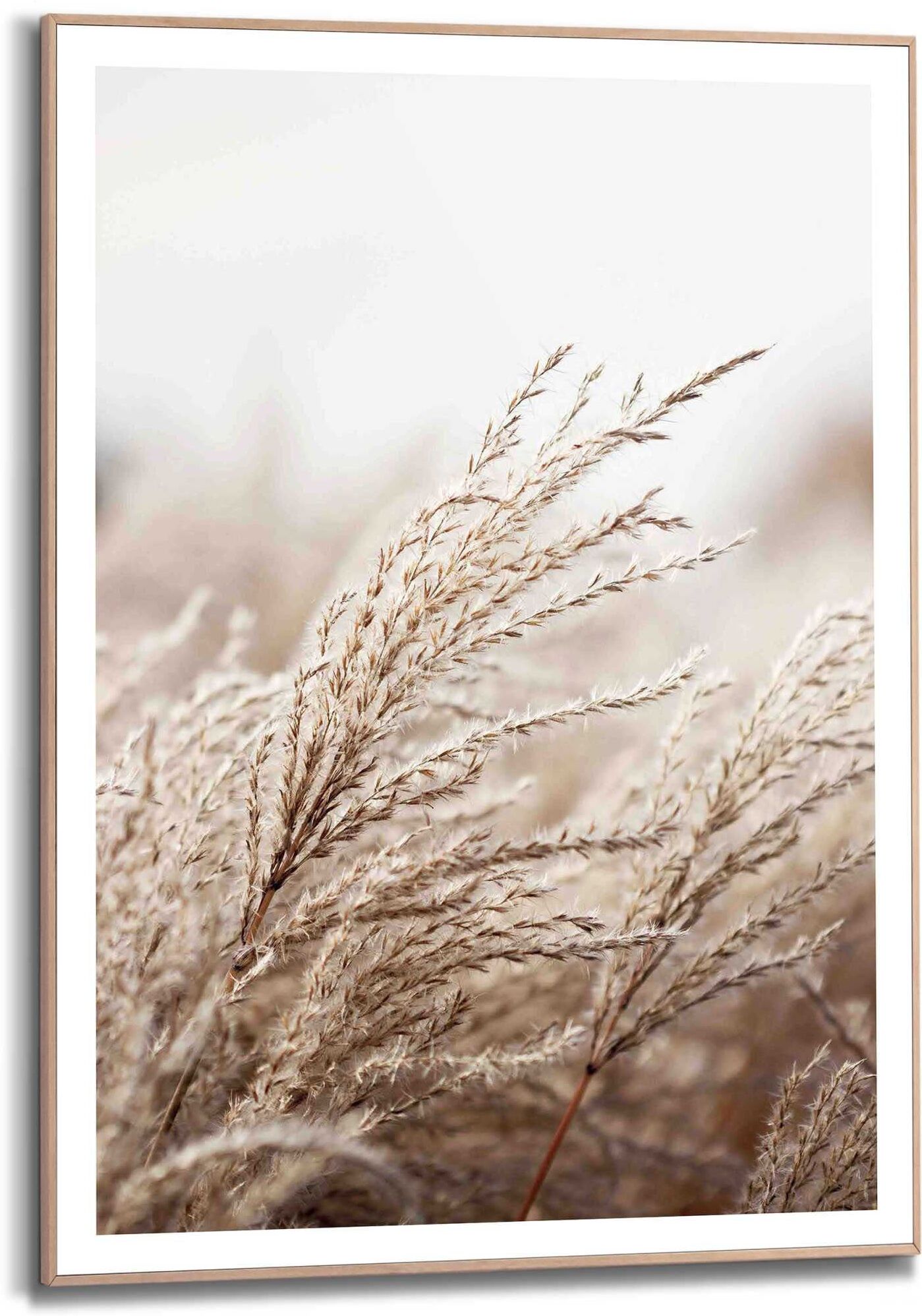 Reinders! Kunstdruck REINDERS "Gras", beige (farbe bild(er): beige), B:50cm H:70cm T:1,6cm, MDF, Bilder, Kunstdruck farbe bild(er): beige B/H/T: 50cm x 70cm x 1,6cm