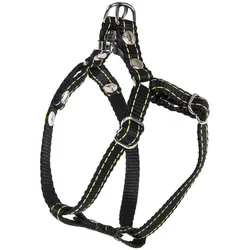 Martin Sellier Biker (S, Hund, Spazieren), Halsband + Leine