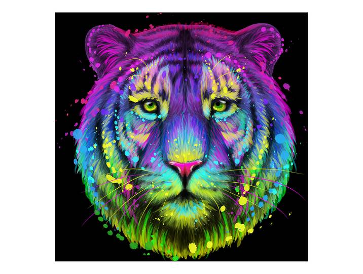 Tableau verre Neon Tiger Matériau : Verre Motif : Animal Motif : Animal Type de verre : Verre clair Turquoise/Mauve/Noir 30 x 30 x 1cm