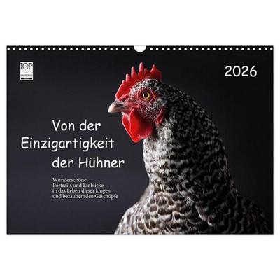 Von der Einzigartigkeit der Hühner 2026 (Wandkalender 2026 DIN A3 quer), CALVENDO Monatskalender