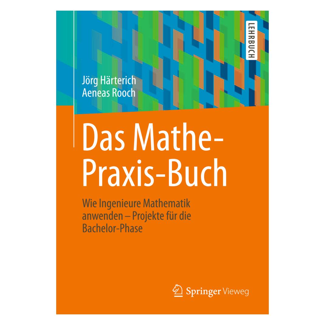 Springer Das Mathe-Praxis-Buch (Deutsch, Softcover, Aeneas Rooch, Jörg Härterich) (7459274)