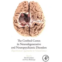 The Cerebral Cortex in Neurodegenerativ, Fachbücher von Nina Weishaupt, David F. Cechetto
