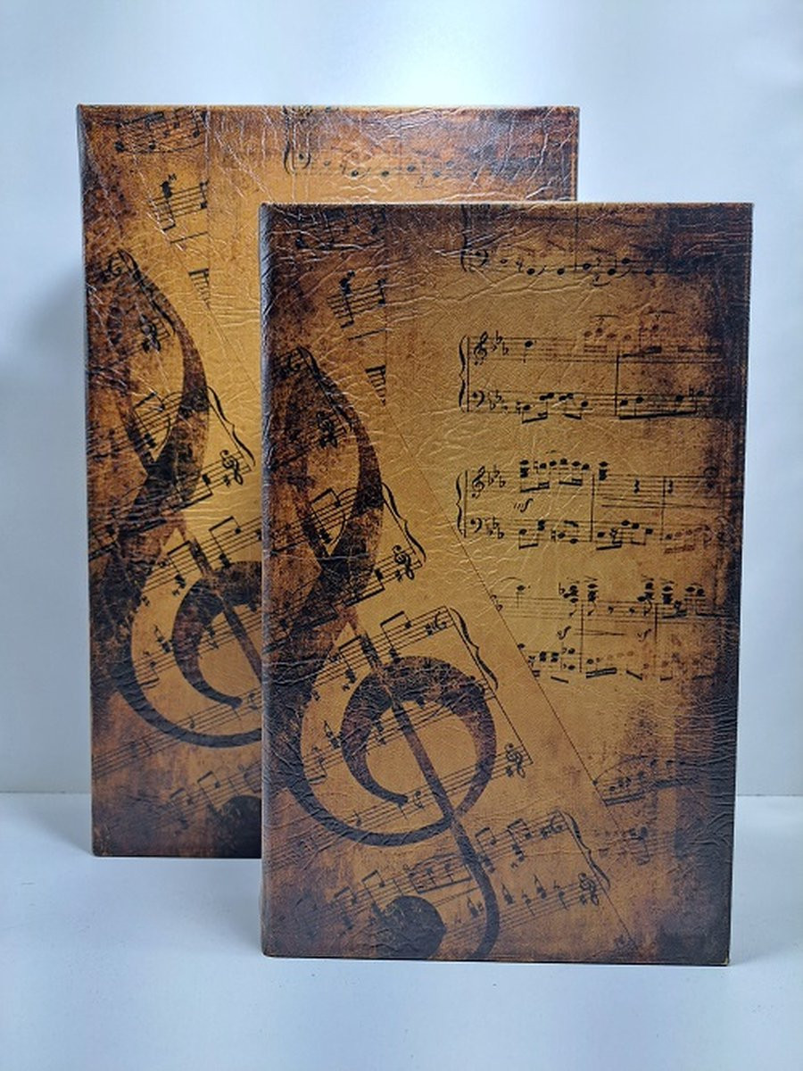 Denza Opbergbox Muziek BK31L2800 Zwart