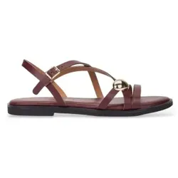 Wonders für Damen. AB-1823_941_1367 Musa 23 Ledersandalen Bordeaux (40), Wohnung, Schnalle, Lässig, Kastanienbraun
