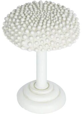 Urbanest Sea Urchin Drapery Holdback Medallion