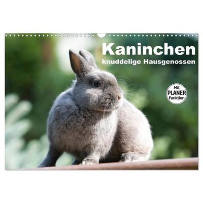 Kaninchen - knuddelige Hausgenossen (Wandkalender 2026 DIN A3 quer), CALVENDO Monatskalender