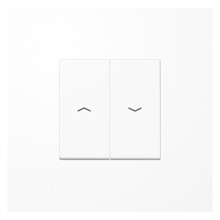 JUNG A 595 BF P WW. Produktfarbe: Weiss (A595BFPWW)