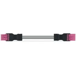Wago 891-8995/006-507 konfektionierte Verbindungsleitung,Eca,Buchse Stecker,pink 8918995006507