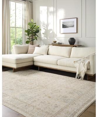 Rachel Zoe x Livabliss The Vintage Edit Traditional Area Rug
