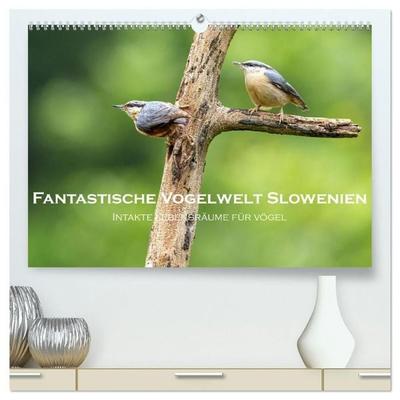 Fantastische Vogelwelt Slowenien (hochwertiger Premium Wandkalender 2027 DIN A2 quer), Kunstdruck in Hochglanz