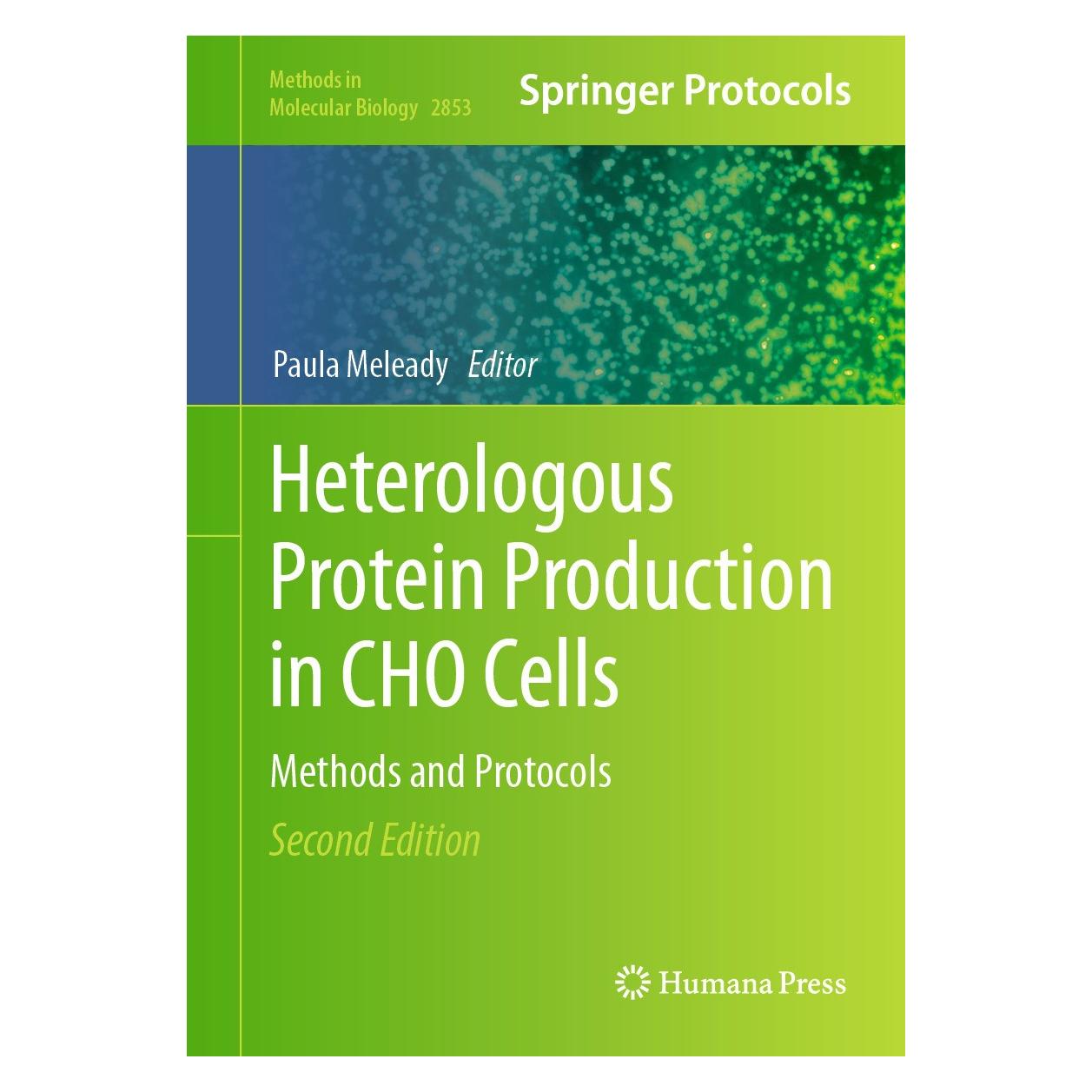 Springer Heterologous Protein Production in CHO Cells (Englisch, Hardcover, Paula Meleady) (9781071641033)
