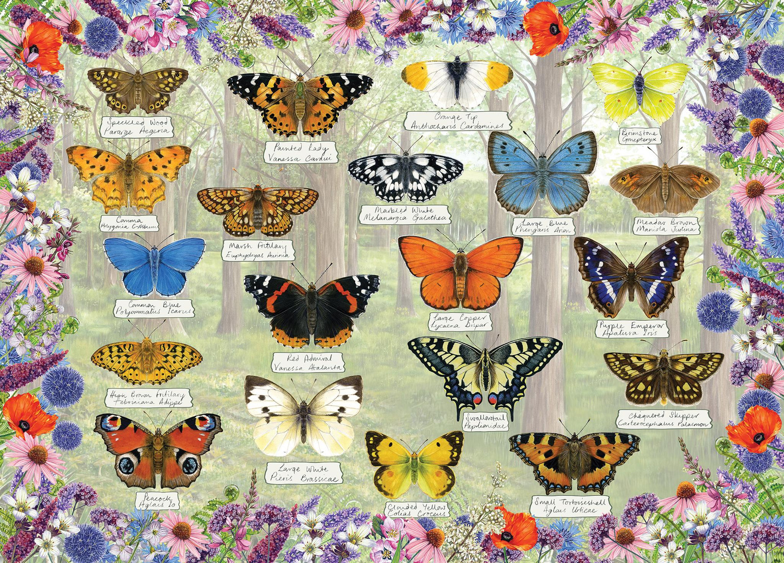 Gibsons Beautiful Butterflies Puzzel - 1000 stukjes